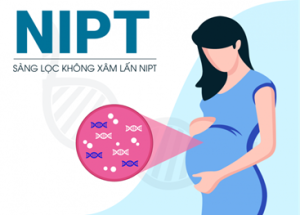 Giảm Rủi Ro Sinh Sản Với Xét nghiệm Giới Tính XY và Sàng Lọc Dị Tật NIPT Chính Xác Lên Đến 100%